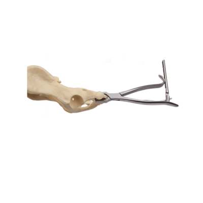 Kern Bone Holding Forceps